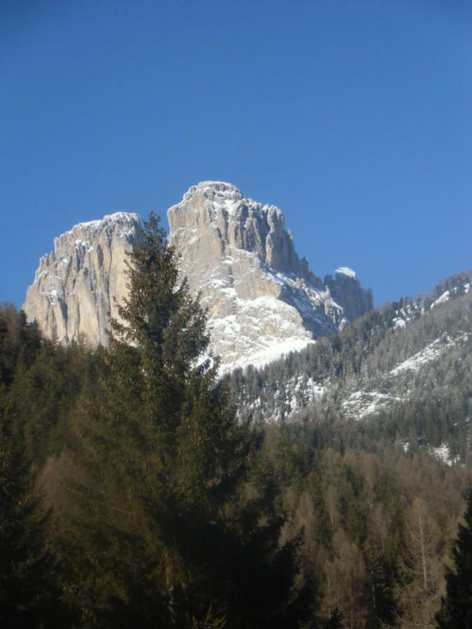 Garni Festil Hotel Campitello di Fassa Luaran gambar